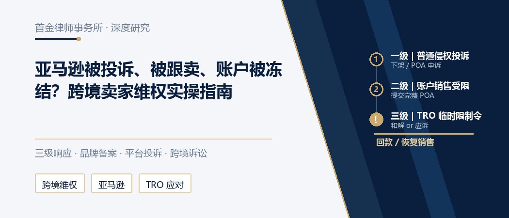 跨境电商平台侵权投诉与 TRO 应对、品牌备案维权路径实务封面